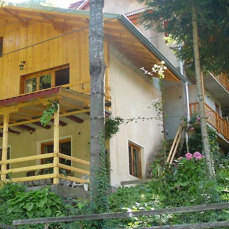 Mountain Sun Guest House Čiflik Exteriér fotografie
