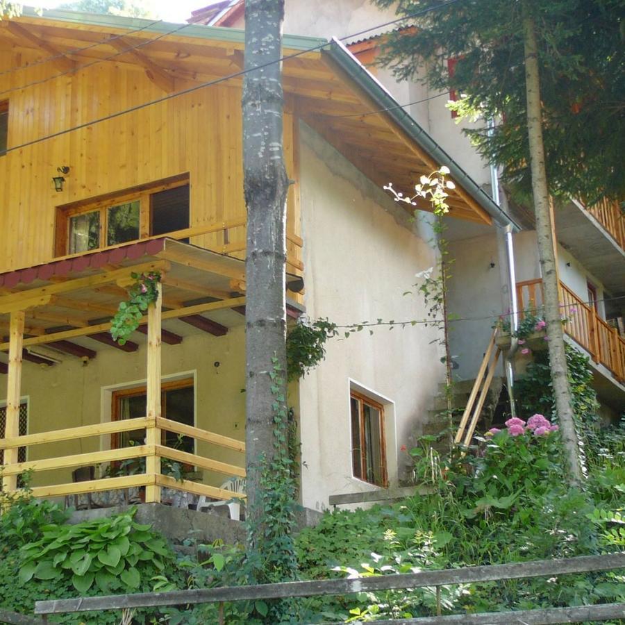 Mountain Sun Guest House Čiflik Exteriér fotografie